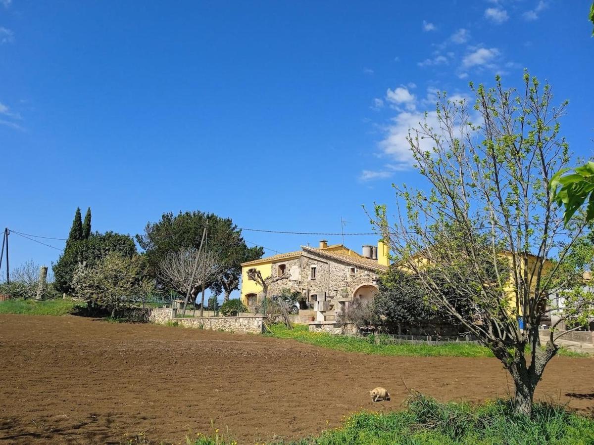 Apartment Rural Ramon Estanyol